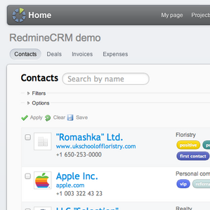 Redmine RedmineCRM theme